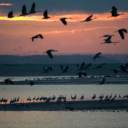 La Maison Des Officiers Guest house