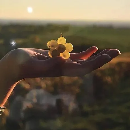 Pensionat La Maison Des Officiers